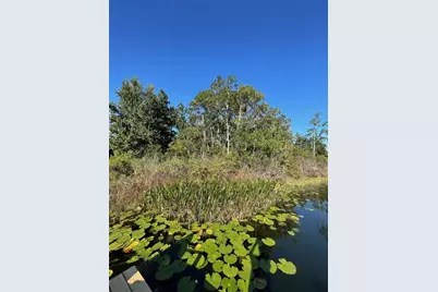 000 Fisher Run, Ocklawaha, FL 32179 - Photo 8