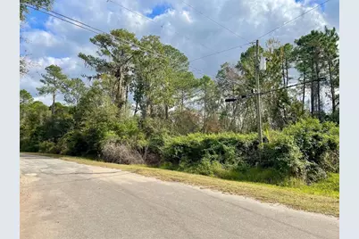 000 Fisher Run, Ocklawaha, FL 32179 - Photo 1