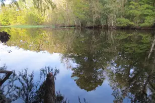 2601 SE 175th Terrace Rd, Silver Springs, FL 34488 - Photo 68