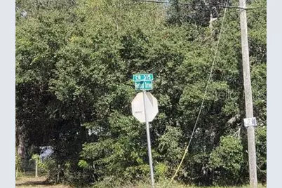 341 S County Road 315, Interlachen, FL 32148 - Photo 6