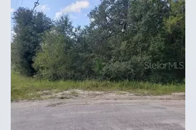 341 S County Road 315, Interlachen, FL 32148 - Photo 4