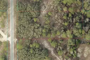 0 Tbd SW Tamiami Pl, Dunnellon, FL 34431 - Photo 1