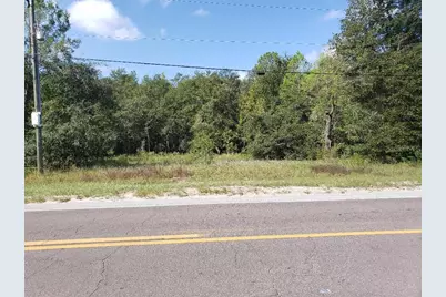 345 S County Road 315, Interlachen, FL 32148 - Photo 4