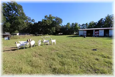 10774 SE 166 Lane, Summerfield, FL 34491 - Photo 4