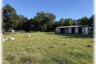 10774 SE 166th Ln, Summerfield, FL 34491 - Photo 30