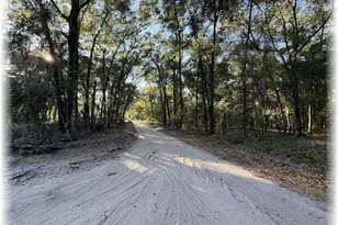 10774 SE 166th Ln, Summerfield, FL 34491 - Photo 34