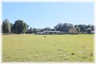 10774 SE 166th Ln, Summerfield, FL 34491 - Photo 6