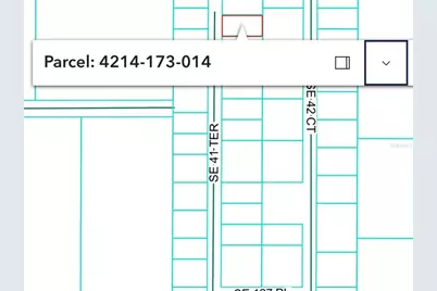 12565 SE 41st Terrace, Belleview, FL 34420 - Photo 2