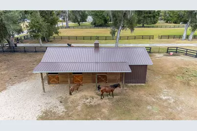 12009 NE 8th Court, Ocala, FL 34479 - Photo 50
