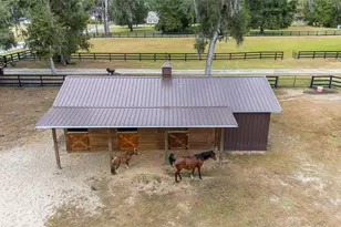 12009 NE 8th Ct, Ocala, FL 34479 - Photo 50