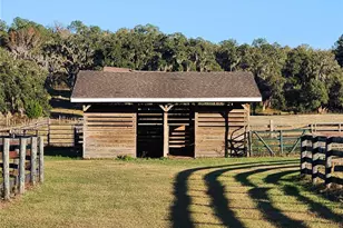 11715 NW 90th Ave, Reddick, FL 32686 - Photo 86