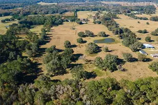 11715 NW 90th Ave, Reddick, FL 32686 - Photo 14