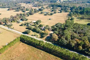 11715 NW 90th Ave, Reddick, FL 32686 - Photo 12