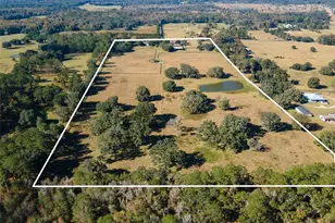 11715 NW 90th Ave, Reddick, FL 32686 - Photo 12