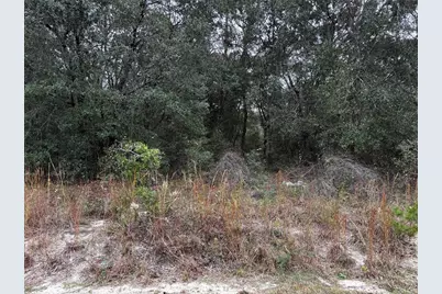 Se 115th Place Road, Ocklawaha, FL 32179 - Photo 2