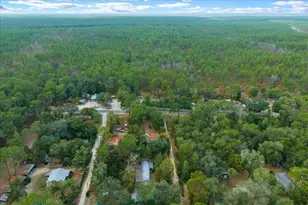 20356 NE 143rd St, Salt Springs, FL 32134 - Photo 50