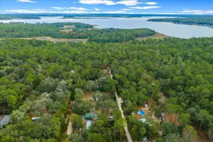 20356 NE 143rd St, Salt Springs, FL 32134 - Photo 52