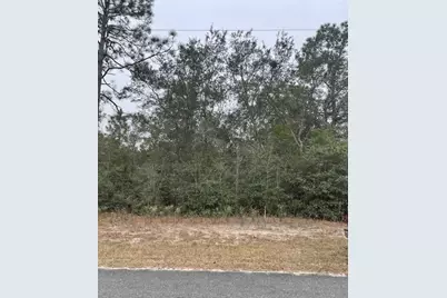 18530 SW 44th Street, Dunnellon, FL 34432 - Photo 2