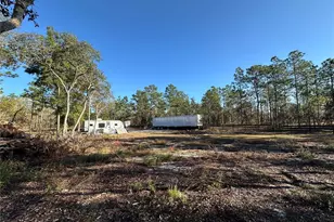 451 SE 144 Ave, Williston, FL 32696 - Photo 32