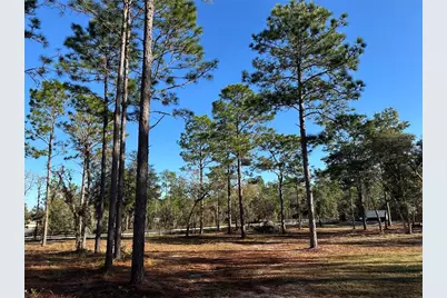 451 SE 144th Avenue, Williston, FL 32696 - Photo 4