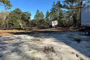 451 SE 144 Ave, Williston, FL 32696 - Photo 28