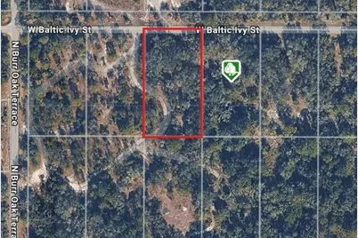 12538 W Baltic Ivy Street, Crystal River, FL 34428 - Photo 2