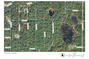 Tbd NE 113th Ave, Fort Mc Coy, FL 32134 - Photo 1