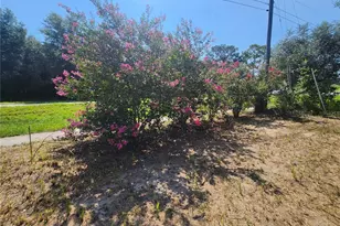 4 Dogwood Ct, Ocala, FL 34472 - Photo 16