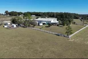 17725 Powerline Rd, Dade City, FL 33523 - Photo 44