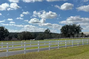 17725 Powerline Rd, Dade City, FL 33523 - Photo 32