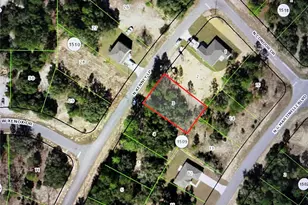 11475 N Kenney Loop, Dunnellon, FL 34433 - Photo 1