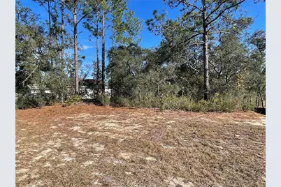 11475 N Kenney Loop, Dunnellon, FL 34433 - Photo 4