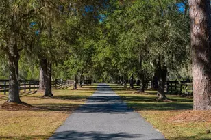 9710 NW 160th Ave, Morriston, FL 32668 - Photo 4