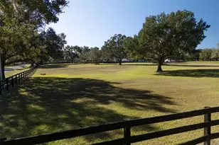 9710 NW 160th Ave, Morriston, FL 32668 - Photo 28