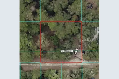 00 NE 166th Street, Fort Mc Coy, FL 32134 - Photo 1