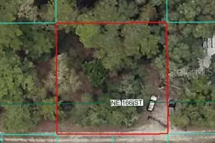 00 NE 166th St, Fort Mc Coy, FL 32134 - Photo 1
