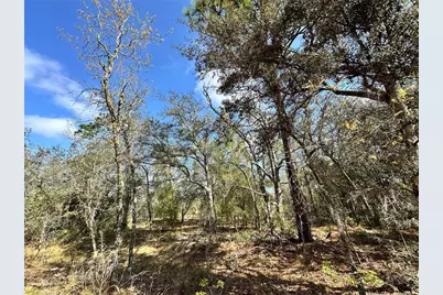 Tbd NE 68th Place, Bronson, FL 32621 - Photo 1
