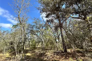 Tbd NE 68th Pl, Bronson, FL 32621 - Photo 1