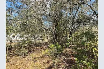 Tbd NE 68th Place, Bronson, FL 32621 - Photo 8