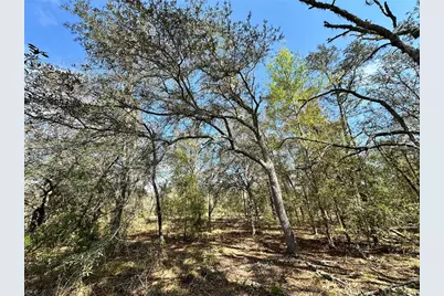 Tbd NE 68th Place, Bronson, FL 32621 - Photo 6
