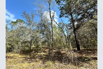 Tbd NE 68th Place, Bronson, FL 32621 - Photo 4