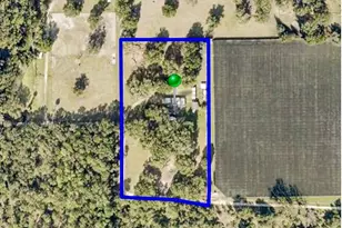 24729 Crooked Mile Rd, Paisley, FL 32767 - Photo 24