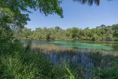 19181 SW 90th Lane Road, Dunnellon, FL 34432 - Photo 36