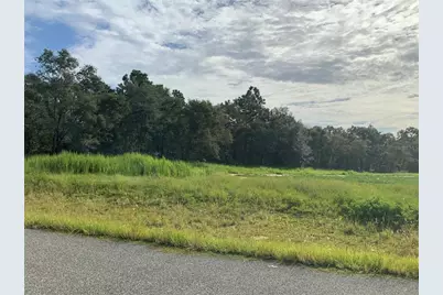Se 39th.  Lot 33 Street, Morriston, FL 32668 - Photo 2