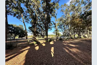 13565 NE 38th Avenue, Anthony, FL 32617 - Photo 32