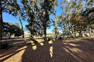 13565 NE 38th Ave, Anthony, FL 32617 - Photo 32