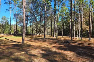 7970 NE 110th Ave, Bronson, FL 32621 - Photo 18