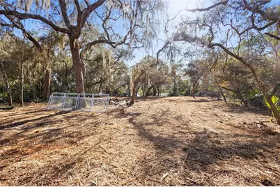 Tbd SE 256th Avenue, Umatilla, FL 32784 - Photo 22