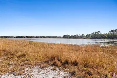 Tbd SE 256th Avenue, Umatilla, FL 32784 - Photo 4