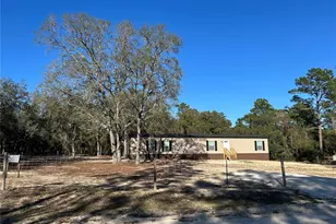 13751 NE 5 St, Williston, FL 32696 - Photo 6